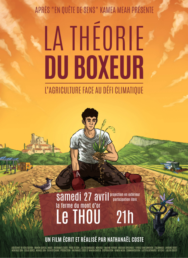 affiche film La théorie du boxeur