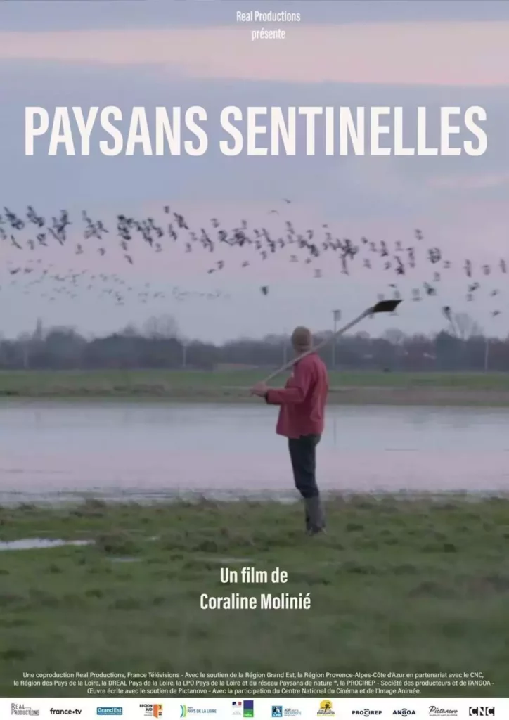 affiche film paysan sentinelle